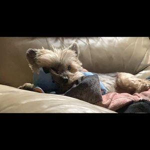 Meet your Posher, Christian